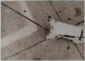 Image description is not available for DU2024.48